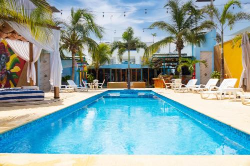 卡塔赫纳Coco Beach Hotel - Rooftop & Beach Club的度假村内带椅子和棕榈树的游泳池