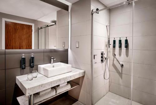 林肯林肯希尔顿逸林酒店的一间带水槽和淋浴的浴室