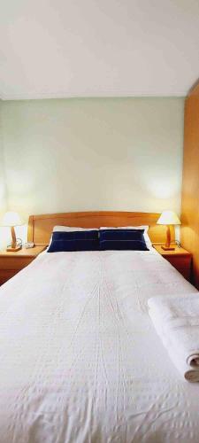 毕尔巴鄂HABITACIÓN EN BILBAO的卧室内的一张大白色床,配有两盏灯