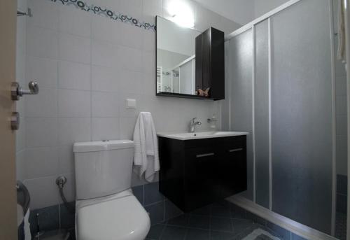 Diakofti阿内莫尼公寓的一间带卫生间、水槽和镜子的浴室