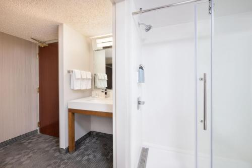 格林维尔格林维尔斯巴坦堡机场万怡酒店的一间带水槽和淋浴的浴室