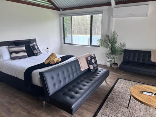 波高尔宾Wallaby Lodges的一间卧室配有一张床和一张黑色皮沙发
