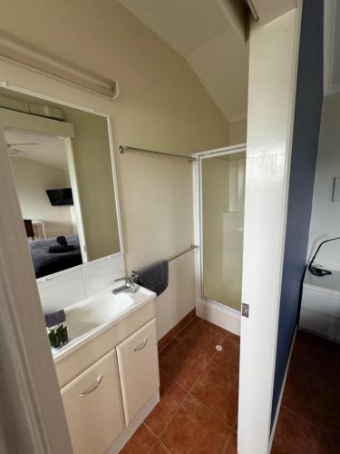 马里巴Mareeba Motor Inn的一间带水槽、卫生间和镜子的浴室