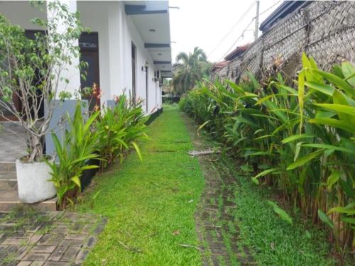 尼甘布Negombo Royal Villa by Hotel Oviniru的一座有植物的院子,毗邻一座建筑