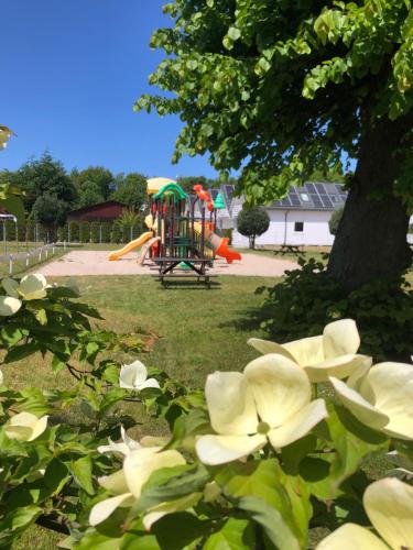 达洛科Dom Wypoczynkowy Olivia的一座公园,里面设有一座游乐场,花朵为白色