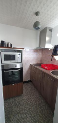 达克斯Villa Argentine T2 classé 2* thème cosy的厨房配有微波炉和水槽。