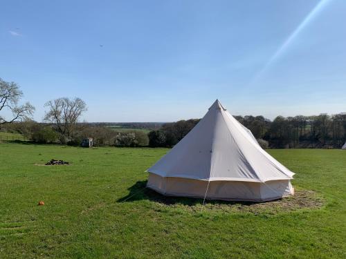 BuckinghamshirePenn Meadow Farm的草场上的白色帐篷