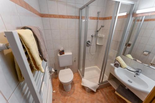 拉姆绍达赫斯坦西本霍夫酒店的带淋浴、卫生间和盥洗盆的浴室