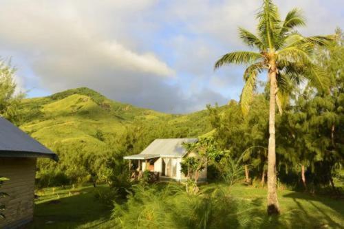 Nanuya LailaiBay of Plenty Nature Lodge的山前有棕榈树的房子