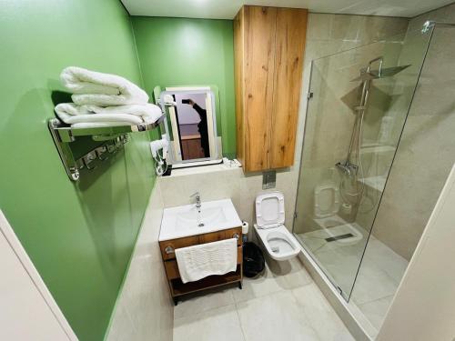 ZhezqazghanKHAN ORDASY的绿色浴室设有卫生间和淋浴。