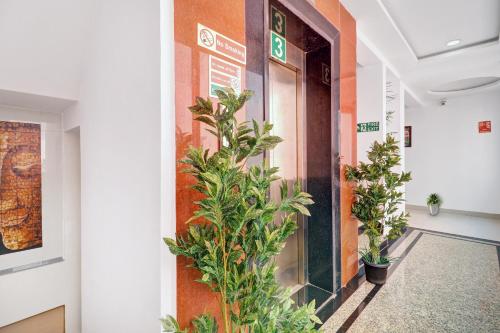 海得拉巴Townhouse RCC PARK VIEW INN的建筑一侧的走廊上,有盆栽植物