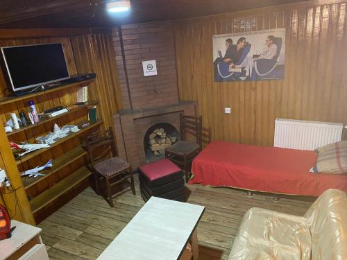 第比利斯ARTISHA TRAVEL TBILISI的客厅设有一张床和一个壁炉
