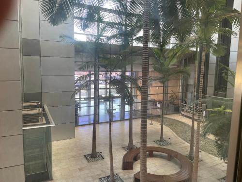荷兹利亚Bמלון דירות אוקיינוס במרינה דירות עם נוף לים的一座棕榈树客房,位于一座建筑中