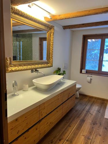 圣加仑Alpen Oase Natur的一间带水槽和镜子的浴室