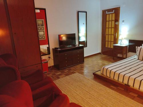 米耶雷斯Hostal的一间卧室配有一张床、一台电视和一张沙发