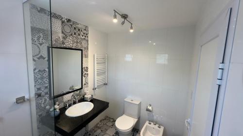萨尔塔Hotel Los Aceres的一间带卫生间、水槽和镜子的浴室