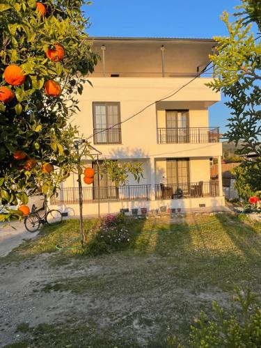 达拉曼Dalaman Airport AliBaba House的房子前面的橘子树
