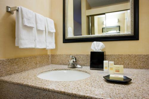 萨克拉门托纳透马斯萨克拉门托机场万怡酒店的浴室的柜台设有水槽和镜子