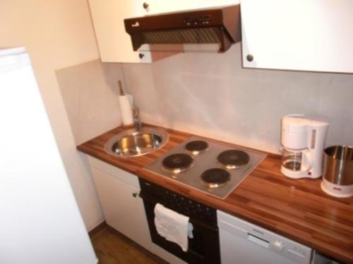 米森-维尔哈姆斯FeWo TONI im AKTIV Landhaus的小厨房配有炉灶和水槽