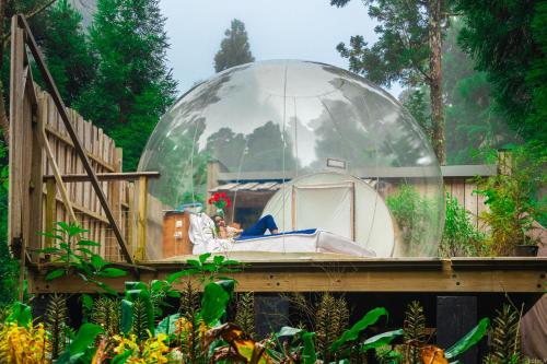 圣路易斯KAZ INSOLITE的花园内带帐篷的玻璃圆顶