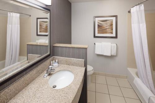 特鲁斯维尔伯明翰特鲁斯维尔万怡酒店的一间带水槽、卫生间和镜子的浴室