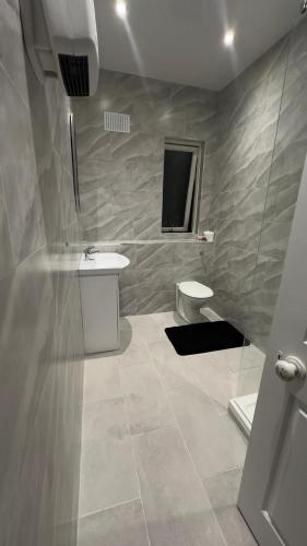 都柏林Huge Family Room Clontarf House-4的一间带水槽和卫生间的浴室