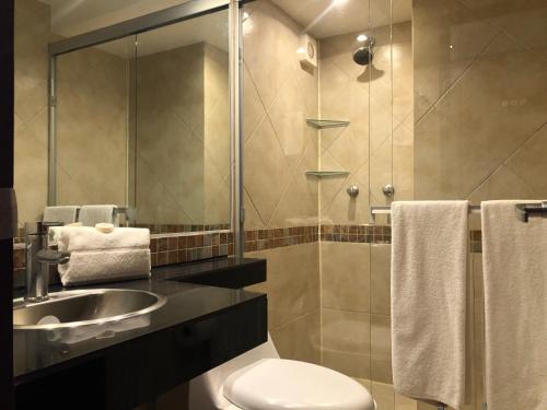 墨西哥城卡普里雷夫玛安琪380公寓式酒店的浴室配有卫生间、盥洗盆和淋浴。