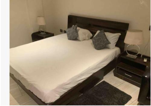 库马西Wynn Apt - Luxe / Uninterrupted Power / Near Mall / Sleeps 3的卧室配有带枕头的大型白色床