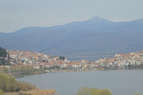 卡斯托里亚tania's view的一大片水体,城市背景