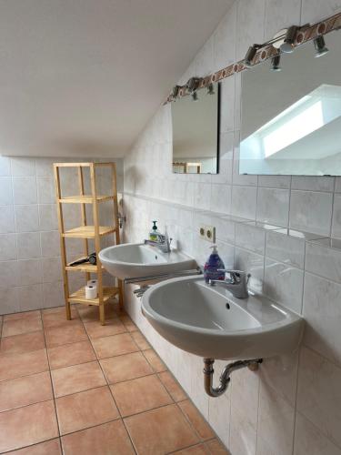 于贝尔塞路德维希国王公寓酒店的浴室设有2个水槽和镜子