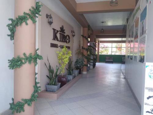 阿亚库乔Kibo hotel restaurant的建筑墙上挂着盆栽植物的走廊