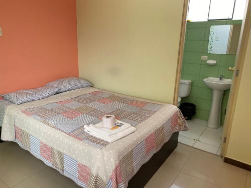 万卡约Rooms MD y FS的一间卧室配有一张带水槽和卫生间的床。