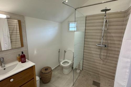 圣丹尼斯Grand studio charmant, tout équipé…的带淋浴、卫生间和盥洗盆的浴室