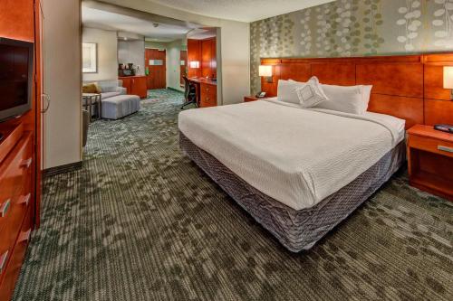 亚历山德里亚亚历山大万怡酒店的酒店客房设有一张大床和一台电视。