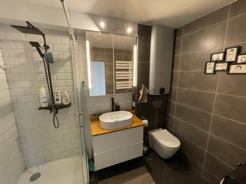 卢扎Piektais stāvs / 5th floor的浴室配有卫生间、盥洗盆和淋浴。