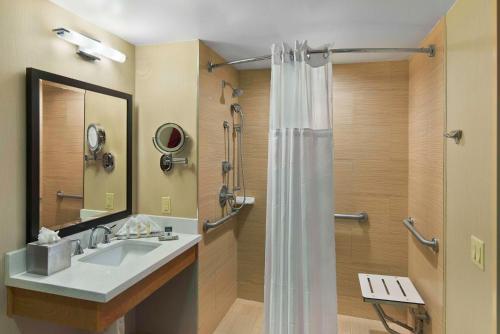 圣佩德罗圣佩德罗希尔顿逸林酒店的一间带水槽和淋浴的浴室