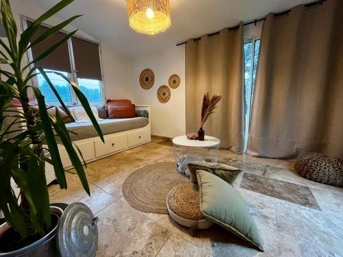 普罗旺斯艾克斯Maison provençale au calme de la campagne avec Jacuzzi的一间带床和盆栽植物的客厅
