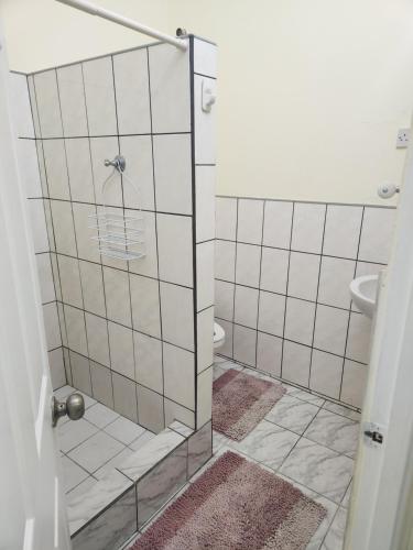 The LimeSun Lover's Apartments的浴室设有玻璃淋浴间和卫生间