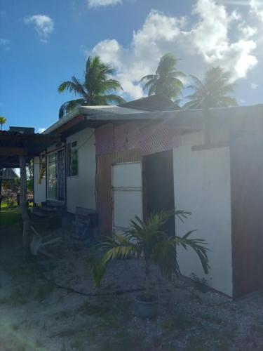阿瓦托鲁Heimaruragi home的前面有一棵棕榈树的小房子