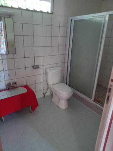 阿瓦托鲁Heimaruragi home的一间带卫生间和淋浴的浴室