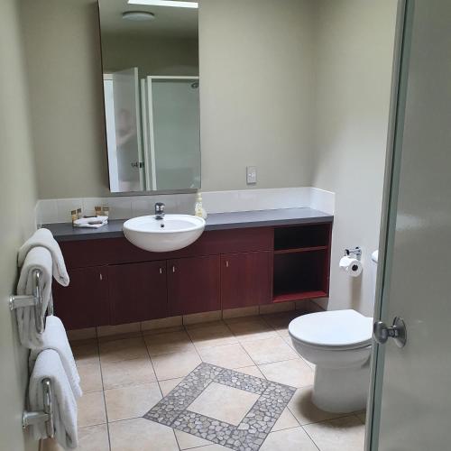 罗托鲁瓦Kuirau Chalet Villa 3-bedroom Twin Lake的一间带水槽、卫生间和镜子的浴室