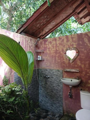珀尼达岛Nusa Penida Pudak Nature Bungalow的一间带卫生间、水槽和植物的浴室