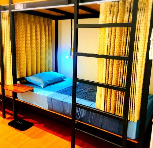 Ban Sao ThongThree Hostel at Night Market Pakchong的一间卧室配有带梯子的双层床