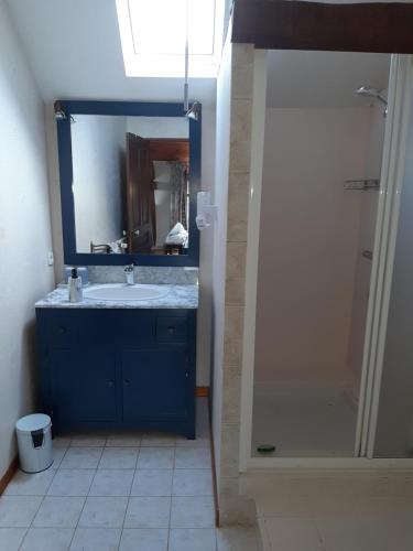维讷伊Le Clos Fleuri的浴室配有蓝色水槽和淋浴。