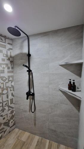 马拉加Carmela estudio的带淋浴的浴室(带玻璃墙)