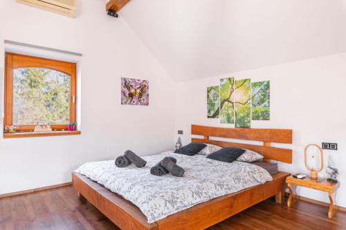 TrebnjeLuxury Vineyard Retreat Matej - Happy Rentals的一间卧室设有一张床和一个窗口