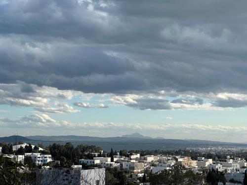 La perle sidi bou said平面图