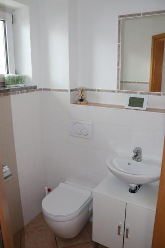 布赫洛厄Landhaus Lindenberg的白色的浴室设有卫生间和水槽。