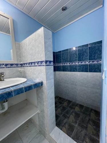拉斯特拉纳斯Casita de 2 habitaciones的一间带水槽和淋浴的浴室