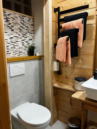 翁根Chalet Alpina Gyger的一间带卫生间和水槽的浴室